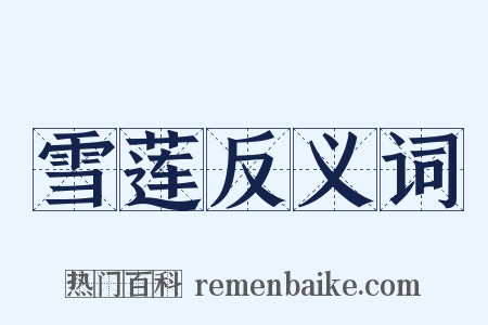 雪莲反义词是什么意思的图片